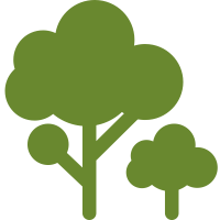 TreeSense